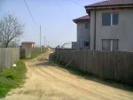 adunatii copaceni - Miniatura 10