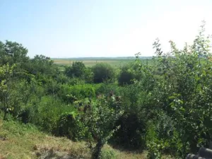 vand teren  intravilan 20.000 m2 + casa