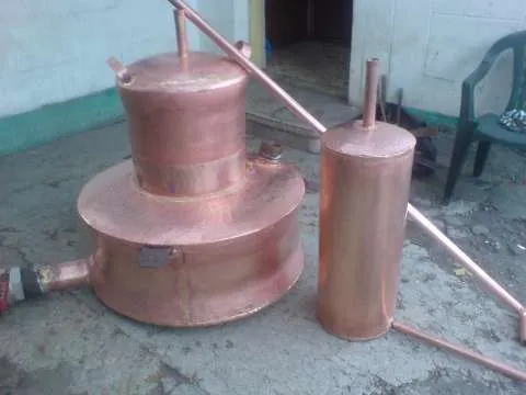 Cazane tuica la comanda Dvs - Imaginea 1