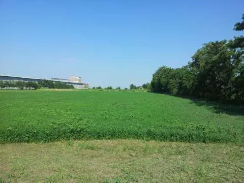 vand teren  intravilan 20.000 m2 + casa - Imaginea 2