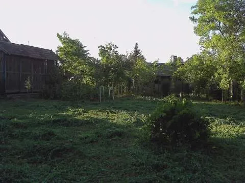 Vind casa Nadlac - Imaginea 5