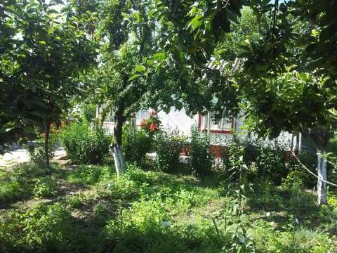 vand teren  intravilan 20.000 m2 + casa - Imaginea 3