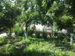 vand teren  intravilan 20.000 m2 + casa - Miniatura 3