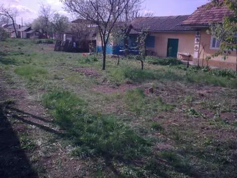 vand casa batraneasca in Lunca Banului-Vaslui - Imaginea 2