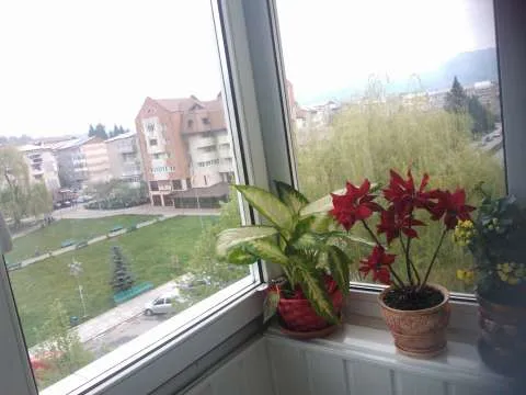 vand sau  schimb apartament 3 camere ultracentral cu garsoniera - Imaginea 2