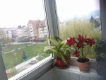 vand sau  schimb apartament 3 camere ultracentral cu garsoniera - Miniatura 2