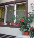 Termopane Rehau ieftine - Miniatura 2