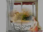 Termopane Rehau ieftine - Miniatura 3