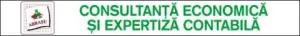 ABRASU-CONSULTANTA ECONOMICA SI EXPERTIZA CONTABILA