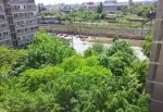 Vand Apartament 2 camere, in bloc reabilitat, zona civilizata. - Miniatura 8