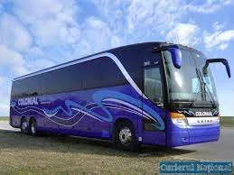 Transport persoane Turda - Anglia - Imaginea 1