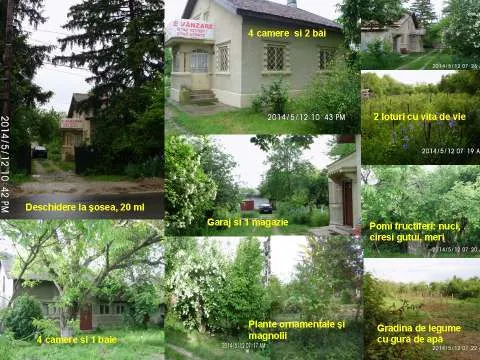 Vand Proprietate in comuna Joita, jud. Giurgiu - Imaginea 2