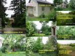 Vand Proprietate in comuna Joita, jud. Giurgiu - Miniatura 2