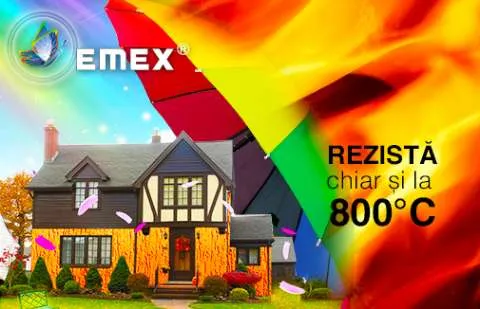 Vopseaua Termorezistenta - EMEX TRS - Imaginea 1