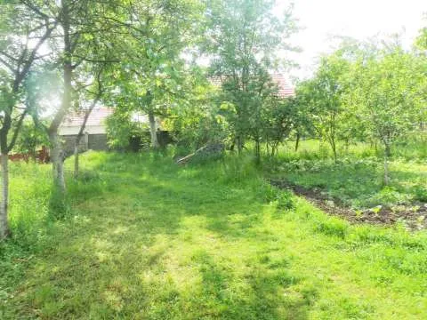 Casa 4 camere cu curte si gradina la 17 km de Deva - Imaginea 1