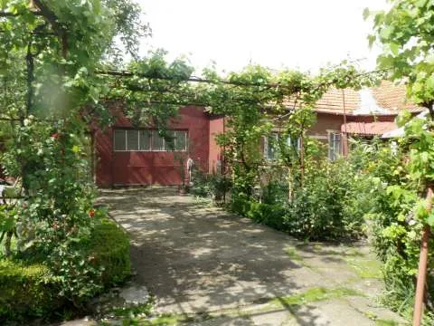 Casa 4 camere cu curte si gradina la 17 km de Deva - Imaginea 3