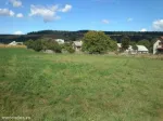 Vand teren intravilan Capu Codrului, jud Suceava,3800mp + vand casÄƒ batrÃ¢neascÄƒ. - Miniatura 1