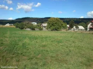 Vand teren intravilan Capu Codrului, jud Suceava,3800mp + vand casÄƒ batrÃ¢neascÄƒ.