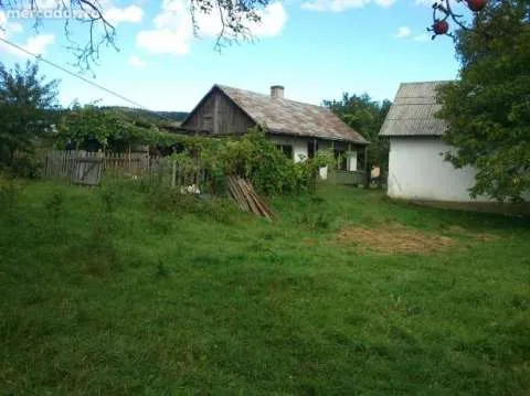 Vand teren intravilan Capu Codrului, jud Suceava,3800mp + vand casÄƒ batrÃ¢neascÄƒ. - Imaginea 2