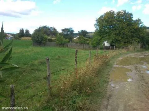 Vand teren intravilan Capu Codrului, jud Suceava,3800mp + vand casÄƒ batrÃ¢neascÄƒ. - Imaginea 3