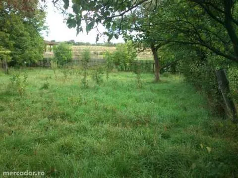 Vand teren intravilan Capu Codrului, jud Suceava,3800mp + vand casÄƒ batrÃ¢neascÄƒ. - Imaginea 4