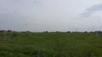 Teren Berceni, Ilfov, 378mp utili in rate, Zona de Sud - Miniatura 3