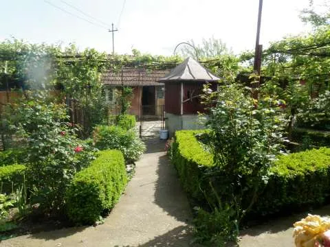 Casa 4 camere cu curte si gradina la 17 km de Deva - Imaginea 8