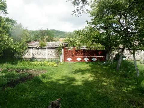 Casa 4 camere cu curte si gradina la 17 km de Deva - Imaginea 10