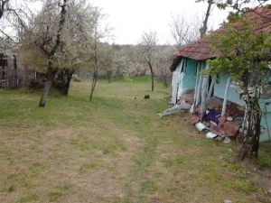 teren intravilan