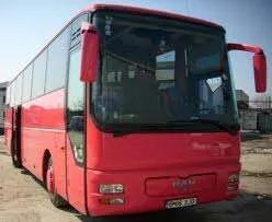 Transport persoane husi anglia - Imaginea 2