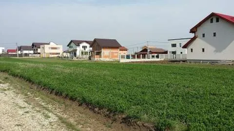 Teren 380 mp utili Berceni Ilfov, zona Est - Imaginea 2