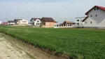 Teren 380 mp utili Berceni Ilfov, zona Est - Miniatura 2