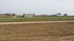 Teren 380 mp utili Berceni Ilfov, zona Est - Miniatura 4