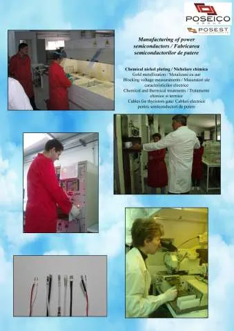 SC POSEST SRL MEMBRA POSEICO GROUP - Imaginea 2