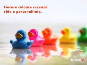 Fluidix - vopsele pentru profesionisti