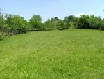 Baicoi, vand teren intravilan - Miniatura 3