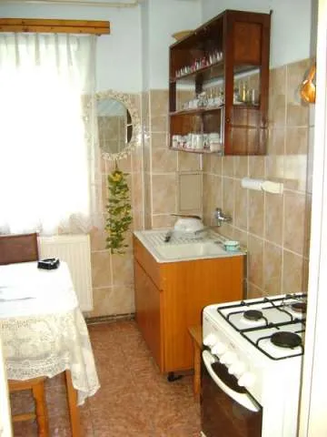 Apartament de inchiriat in Campina - Imaginea 3