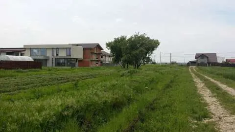 Berceni Ilfov Teren de la 310mp utili in RATE - Imaginea 3