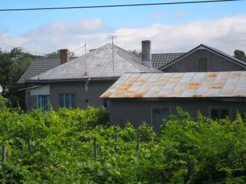 Casa de Vanzare cu Magazie Anexa din 2 camere - Imaginea 2