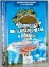 Ghid de cultura ciupercilor - Imaginea 9
