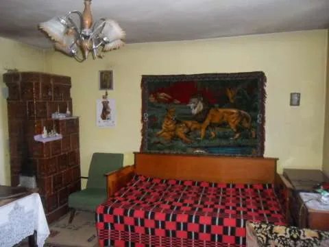 Casa de Vanzare cu Magazie Anexa din 2 camere - Imaginea 7