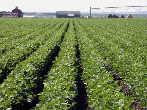 Munca in strainatate,agricultura! - Imaginea 1