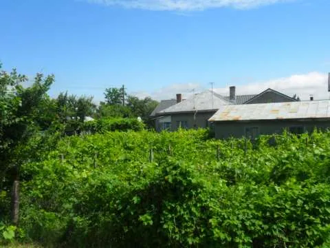 Casa de Vanzare cu Magazie Anexa din 2 camere - Imaginea 13