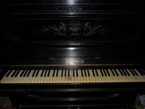 Pianina - Imaginea 1