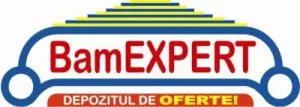 BAMEX MOB