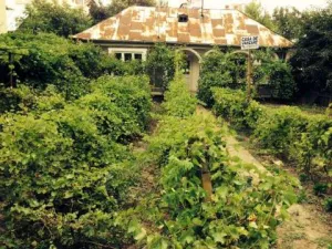 casa de vinzare