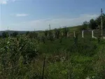 Vand vila noua - Miniatura 5