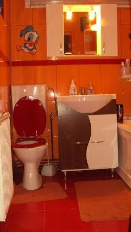 vand casa , Buzias, ULTRACENTRAL - Imaginea 3