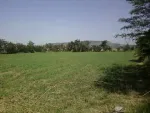 teren intravilan pt constructii - Miniatura 3