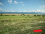 vand - Miniatura 4